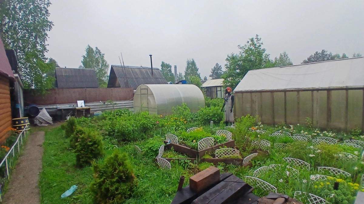 Обнаружил идеальный способ закрыть дорожки между грядок в огороде - почти бесплатно и сорняки больше не "лезут"