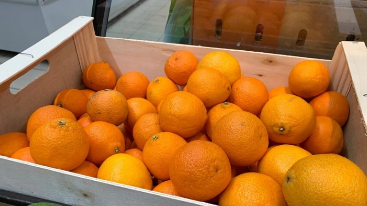 Мандариновые корки заливаю уксусом — всю зиму не нарадуюсь этому хитрому трюку: рабочий лайфхак для хозяек