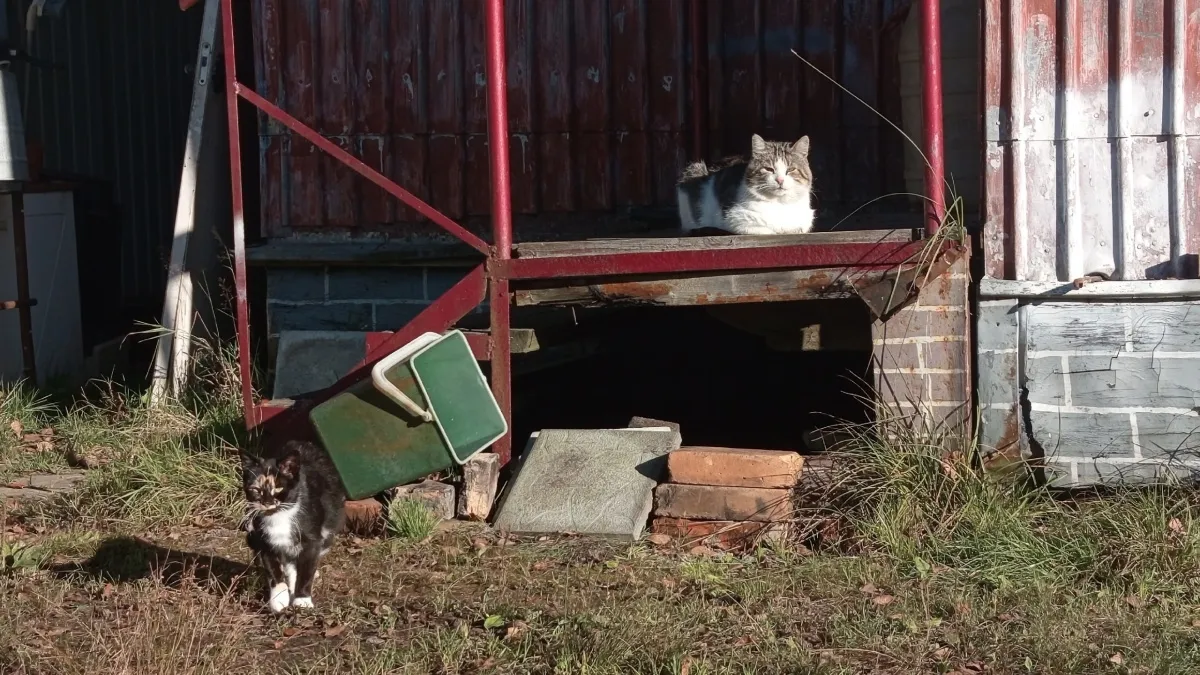 Март — время действовать: какие работы в саду нельзя пропустить в первый месяц весны