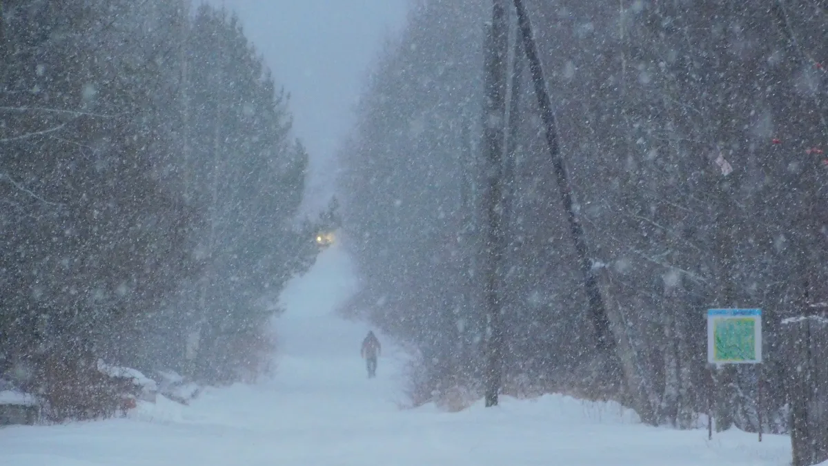 В Сыктывкаре 7 марта объявлено экстренное предупреждение: жителей ждёт сильный снегопад и небольшая метель