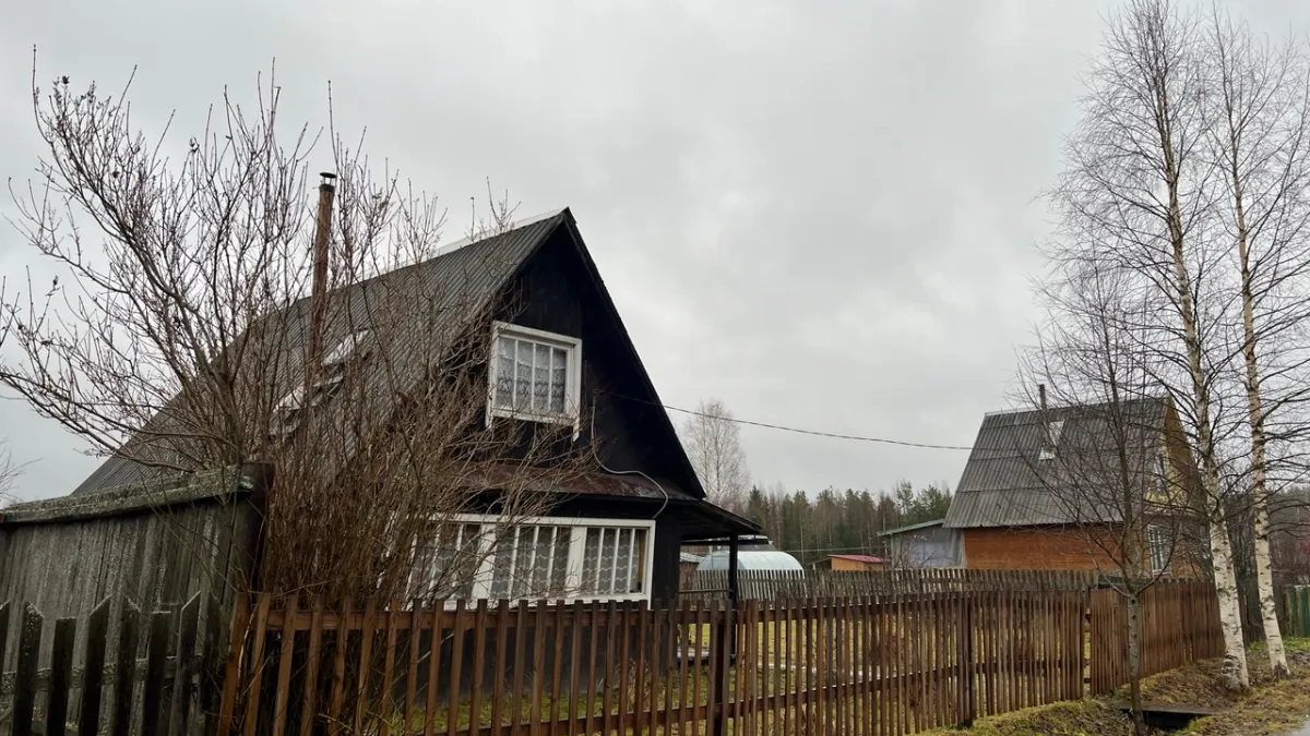 Жителям Коми рассказали, как получить бесплатную древесину для постройки дома