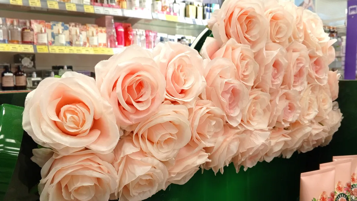 Жителям Коми объяснили, как вернуть деньги за неиспользованный сертификат к 8 Марта