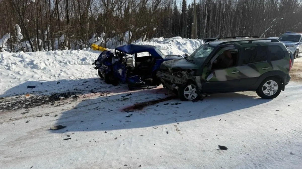 В Коми обгон закончился гибелью водителя "Лады"