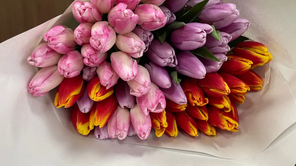 Эквадорские розы и абхазская мимоза: чем пахнет Сыктывкар перед 8 Марта