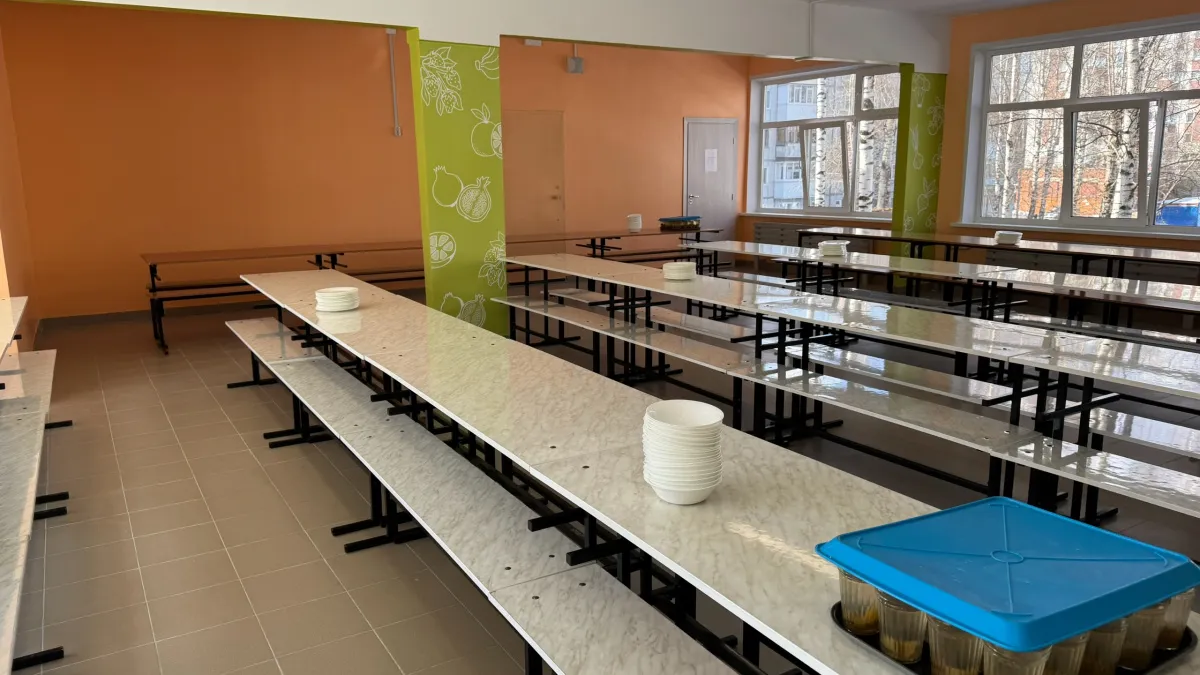 В Коми проверили пищеблоки школ и детсадов после вспышки кишечной инфекции