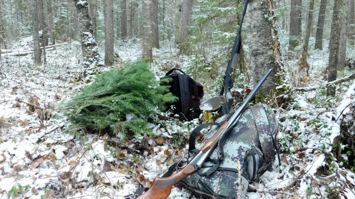 В Коми за неделю изъяли 3 десятка охотничьих ружей