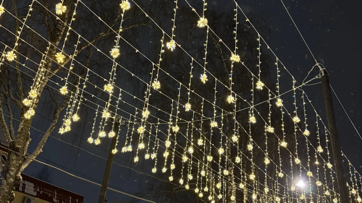В Сыктывкаре часть новогодней иллюминации оставят сиять круглый год 