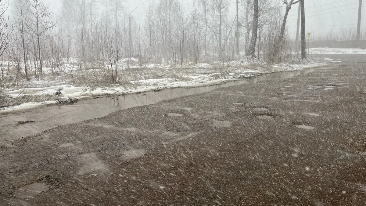 В Коми потеплеет до +6 градусов: синоптики рассказали о погоде на 13 марта 