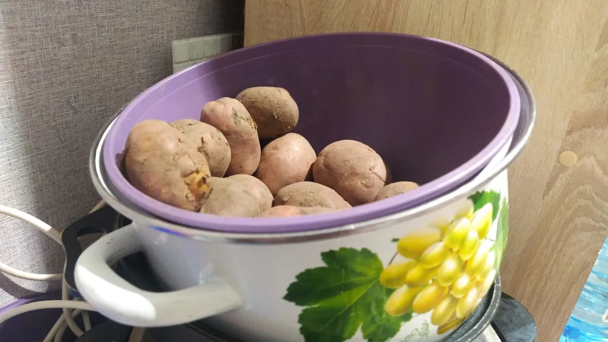 Как правильно хранить картофель дома - об этом должна знать каждая хозяйка