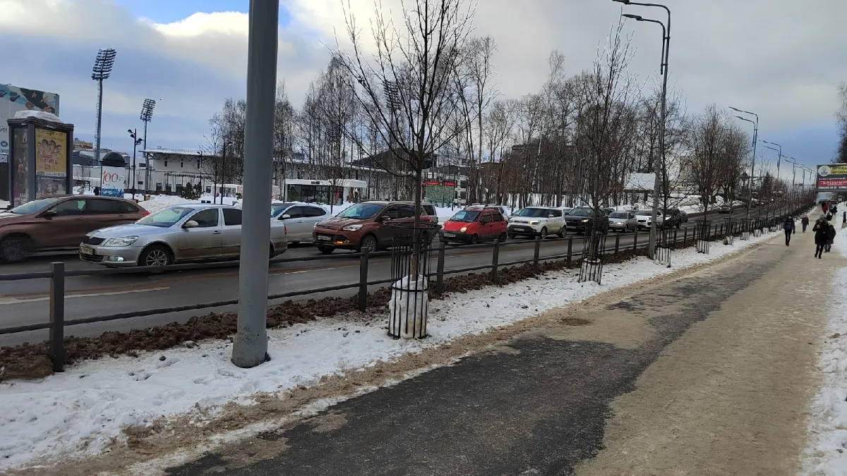 Ошибка многих водителей: какую кнопку не стоит нажимать, когда идет мокрый снег