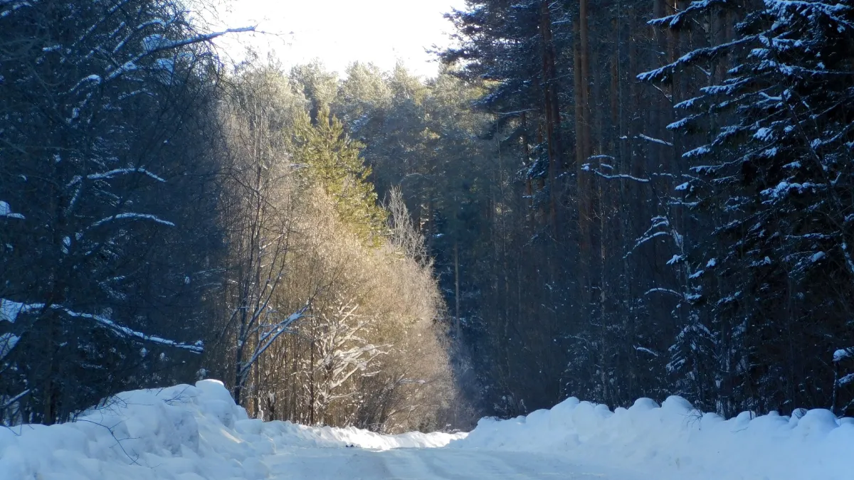 Крайний север остался без дорог: аномальный циклон парализовал транспортную систему из Коми в НАО