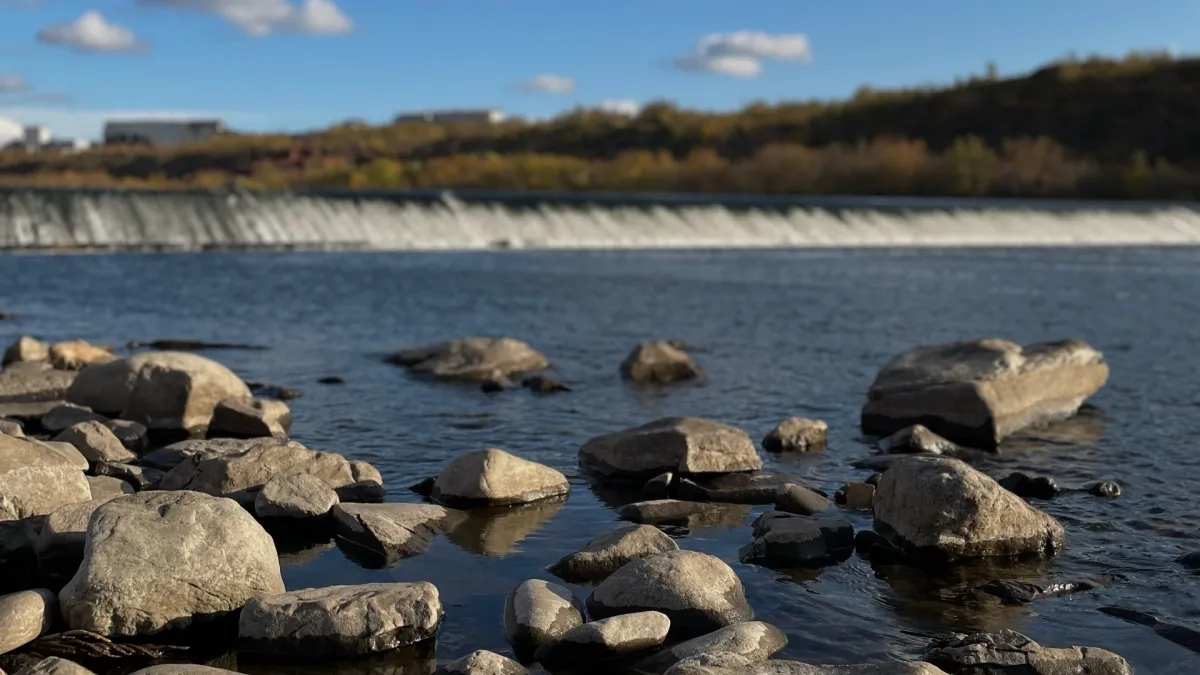 Учёные Коми нашли на Северном Урале уникальную водоросль