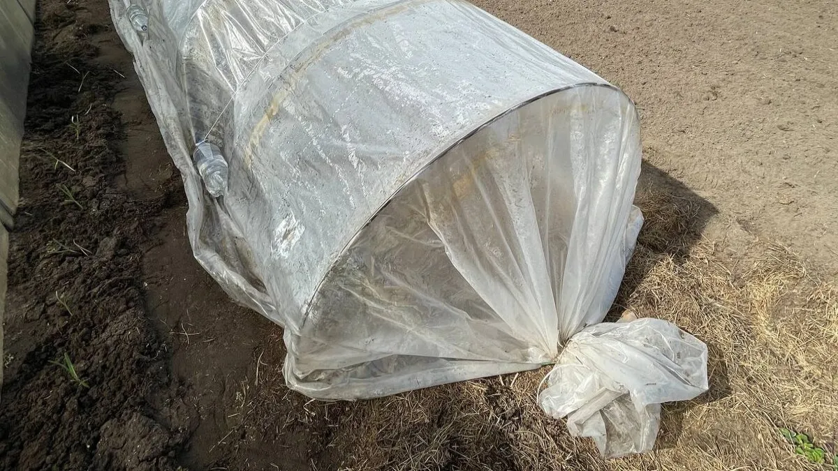 Пленку с парника не сорвет даже штормовой ветер – благодаря трюку с бутылками