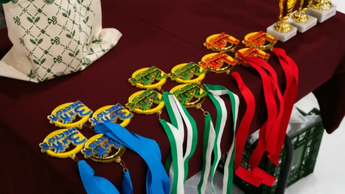 В Сыктывкаре завершились республиканские соревнования по вольной борьбе памяти легендарного спортсмена