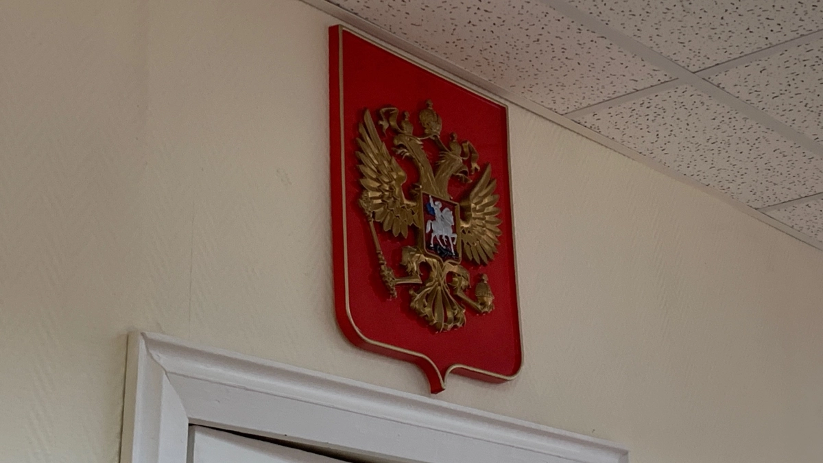 Житель Коми получил наказание за торговлю несуществующими "Хаги-Ваги"