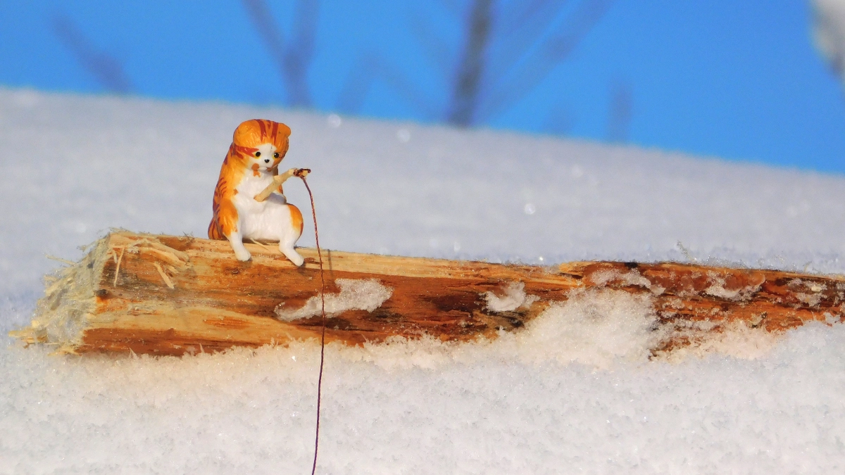 Февраль в Коми оказался аномально холодным