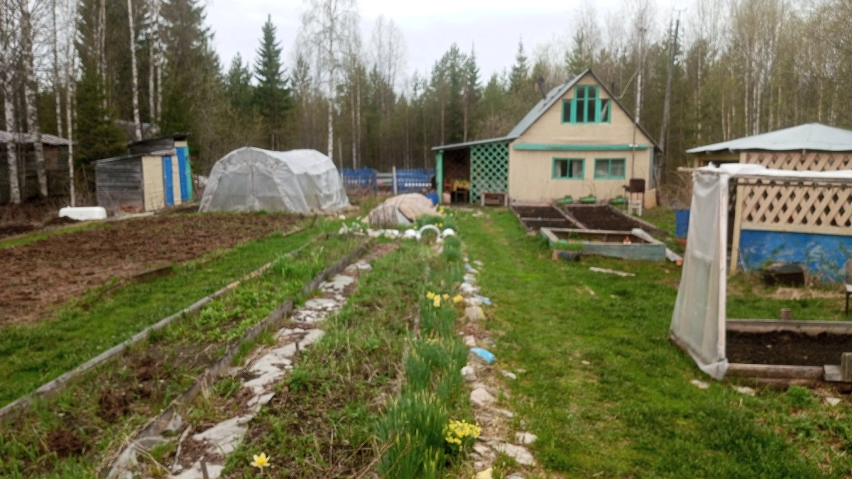 Не совершайте эту ошибку: как опытные садоводы применяют яичную скорлупу