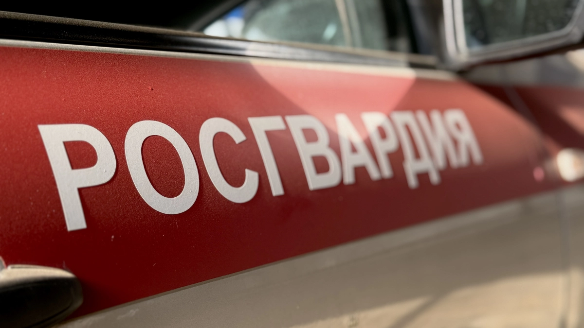 В Коми Росгвардия остановила дебош троих мужчин в увеселительных заведениях