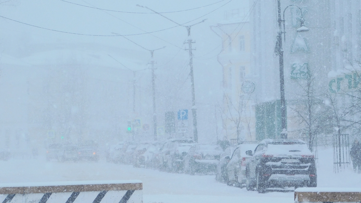 Север Коми в ближайшие часы накроет сильный снегопад 