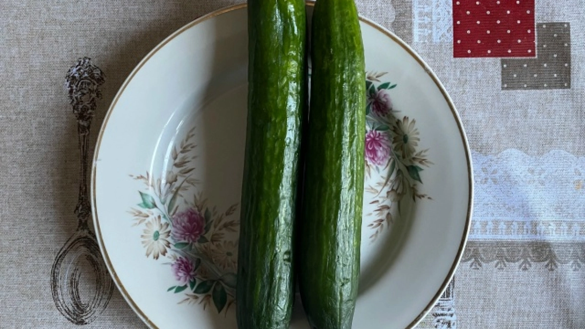 В Коми дешевеют огруцы 