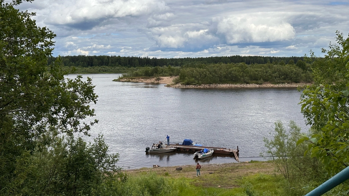 Рыбакам знать — обязательно: новые правила в 2026 году — за какую рыбу теперь грозит штраф в 50 000 рублей