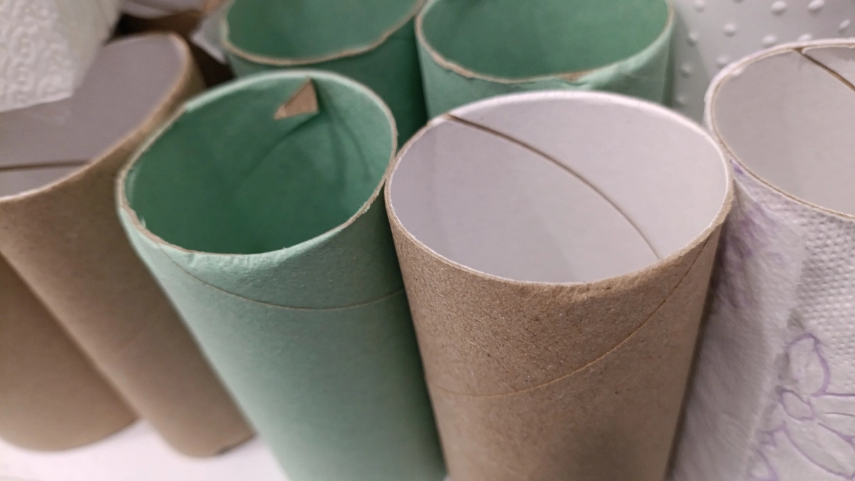 Втулки от туалетной бумаги берегу как золото: вот как их применяю — очень полезная вещь для решения многих проблем