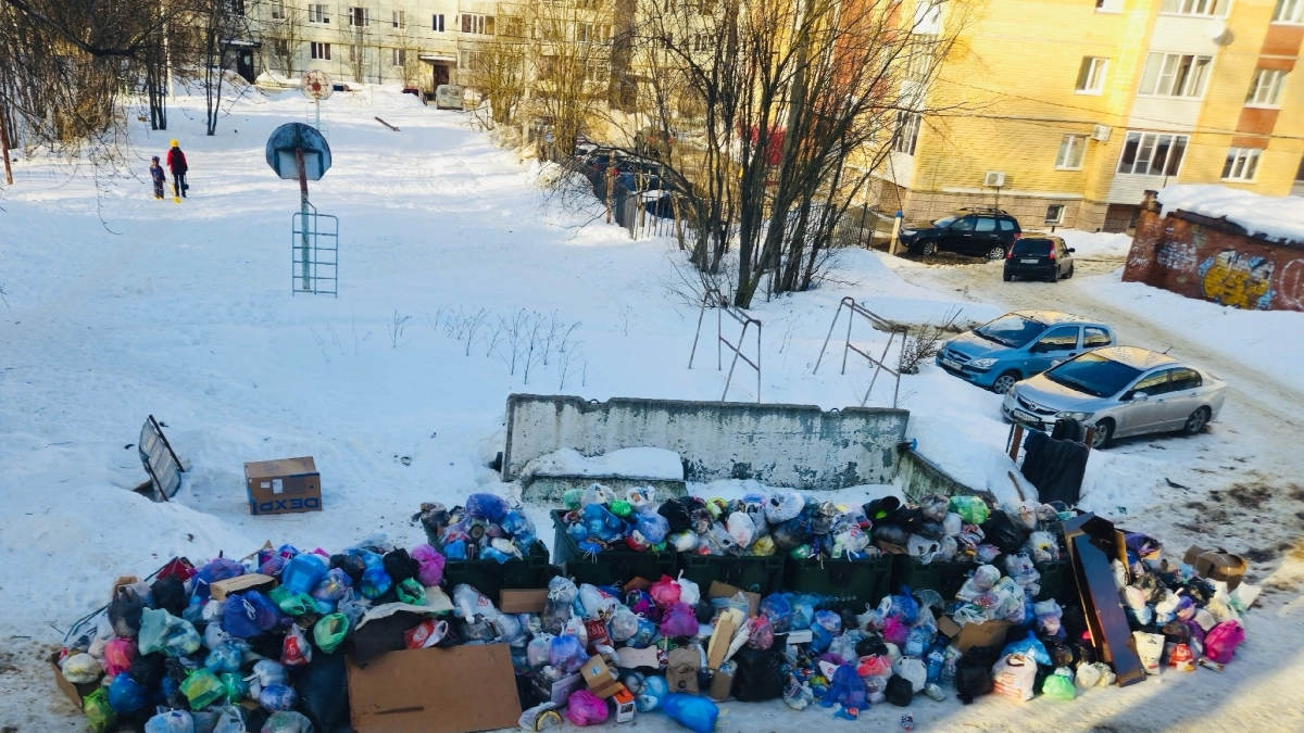 Свалки в Сыктывкаре: почему дворы тонут в мусоре
