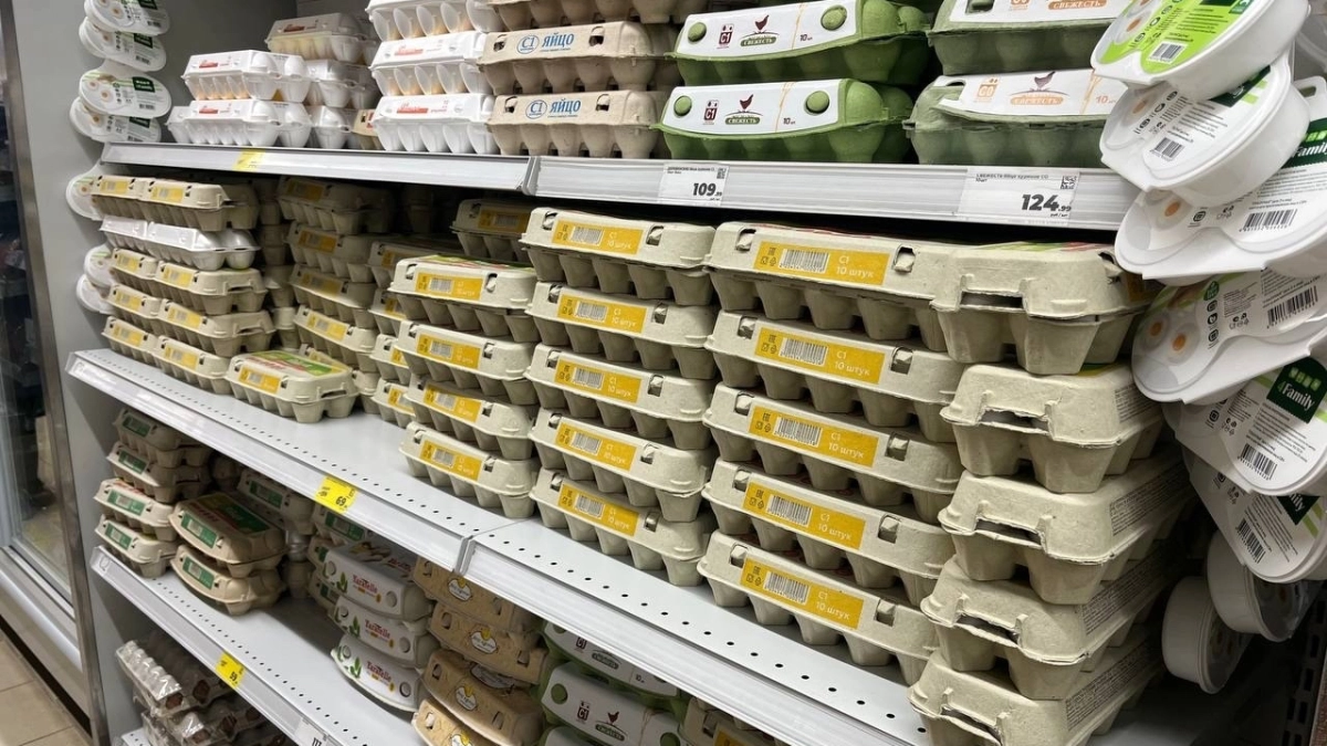 Пустые лотки от яиц больше не выбрасываю: придумала как их использовать и не нарадуюсь — пригодились в прихожей