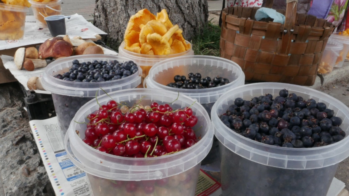 Больше не шокирую смородину кипятком, как все: есть способ лучше