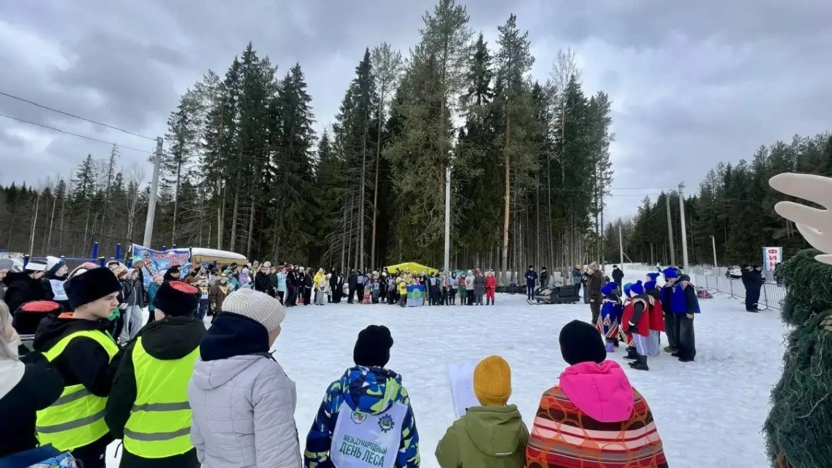 Молодёжь Коми продемонстрировала знания в сфере лесного хозяйства