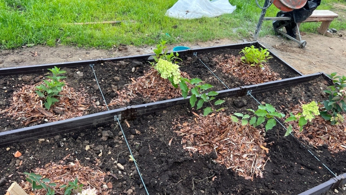 Россиян предупредили о штрафах за огород на территории многоквартирного дома