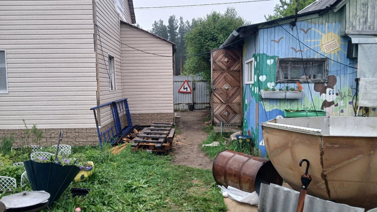 Поливаю участок в марте — и забываю о сорняках на всё лето: копеечный раствор против травы без вреда для почвы