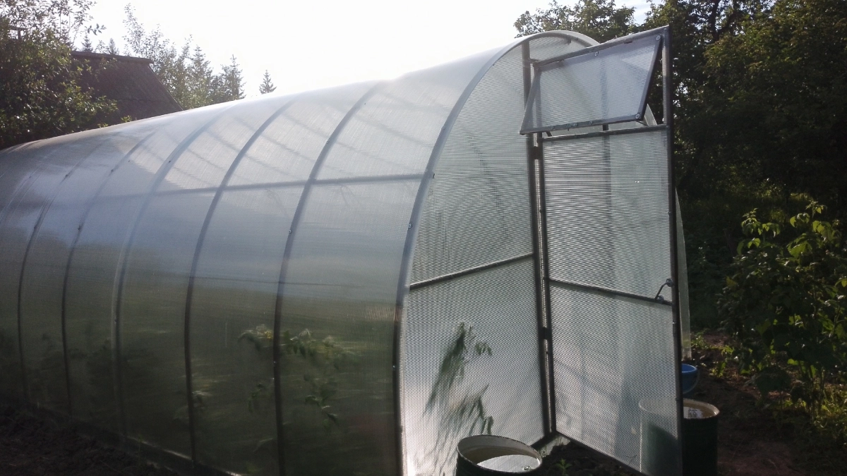 Поликарбонат уже не в моде: для теплицы есть материал лучше – без хлопот и пыли, а стоит копейки