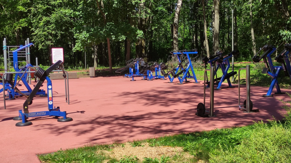 В Коми семь тысяч школьников сдали нормы ГТО в 2025 году