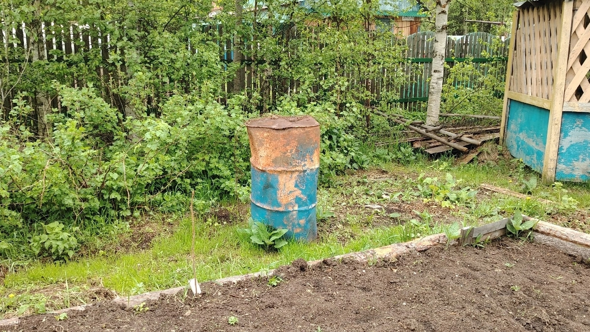 Три ложки на кучу — перегниют даже ветки и кости: быстрый компост без всяких хлопот — земля будет как пуховая перина