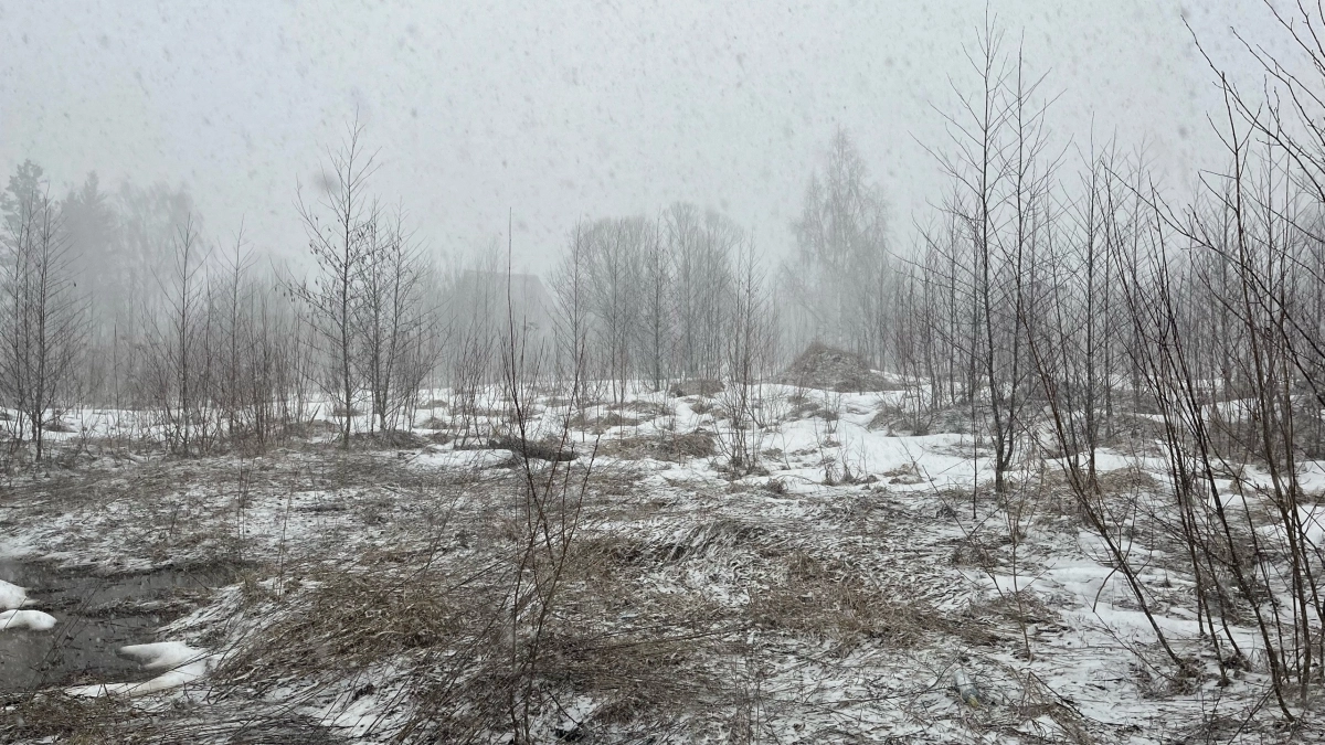 В ближайшие часы Коми накроет штормовой ветер 