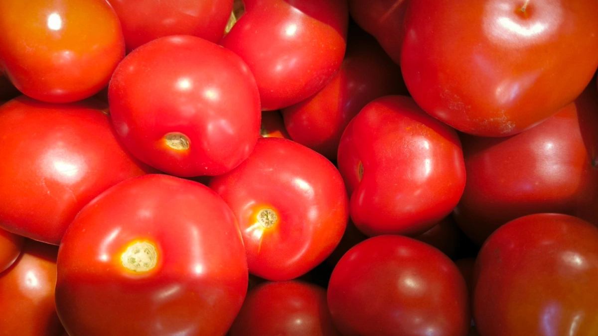 Помидорам в апреле — обязательно: всего 1 капля в 200 мл воды и стебли станут толще пальца