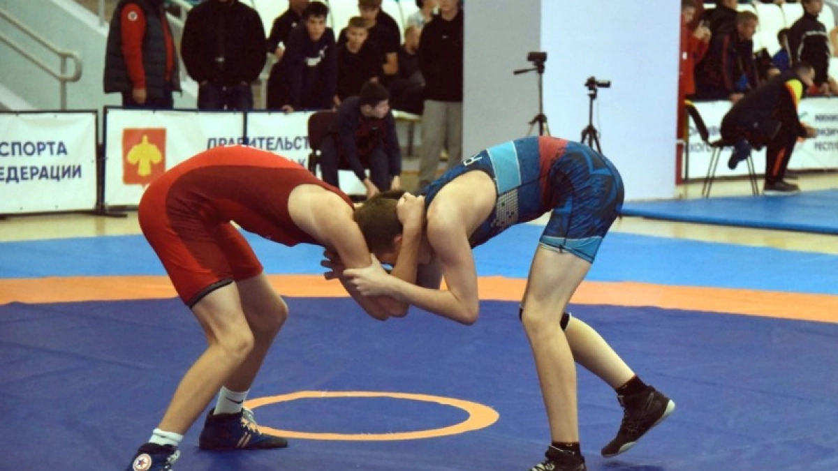 Около 50 борцов из пяти регионов России сразятся на турнире СЗФО в Коми