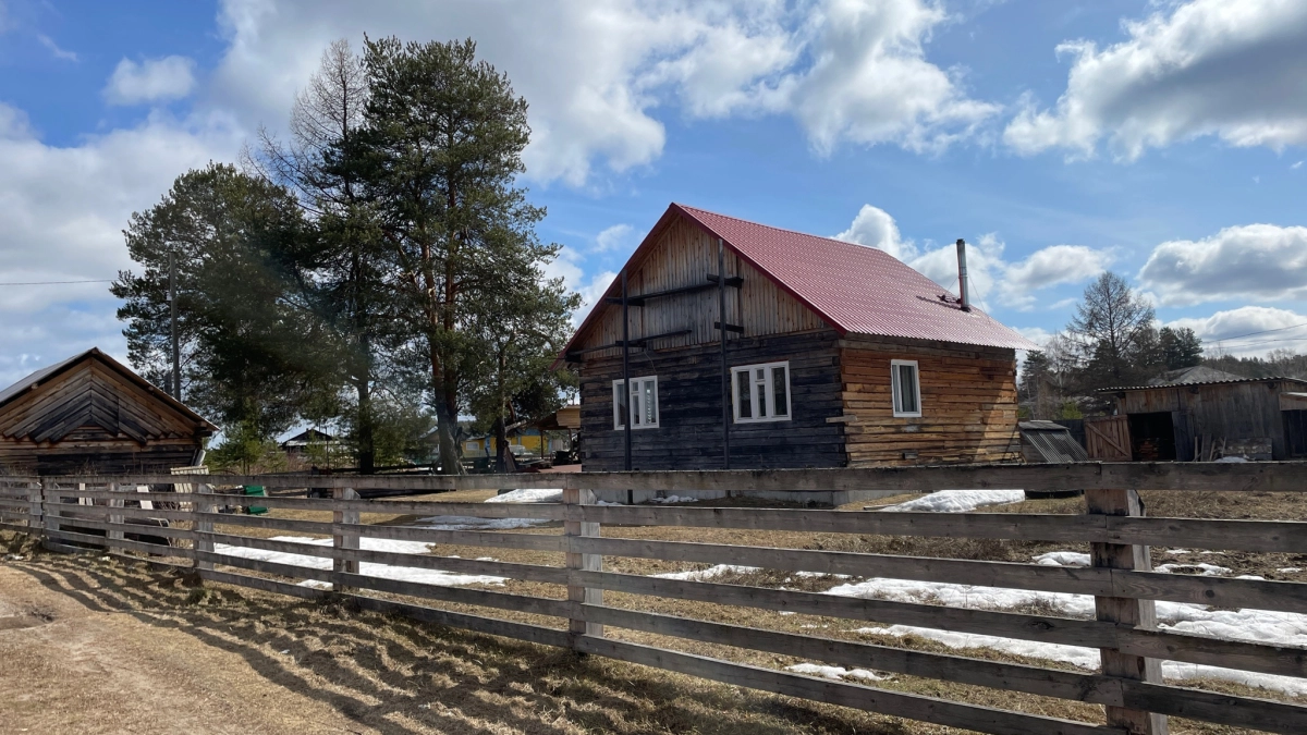 Со сходом снега покупаю 3 пачки риса и не мучаюсь, как соседи по участку — благодать всю весну