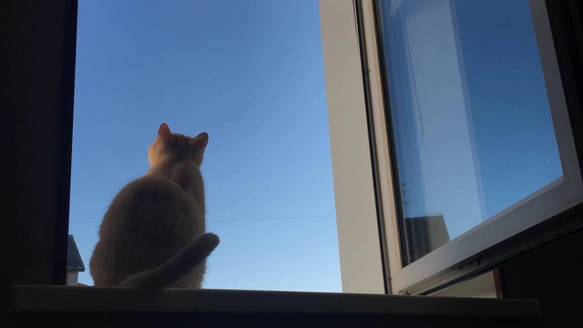 Атмосферный фронт рисует контрасты: от весеннего тепла до арктического холода ожидается в Коми 28 марта