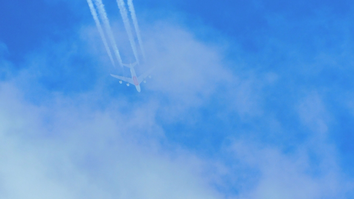 Город на севере Коми возобновляет авиасообщение с Москвой с 24 апреля