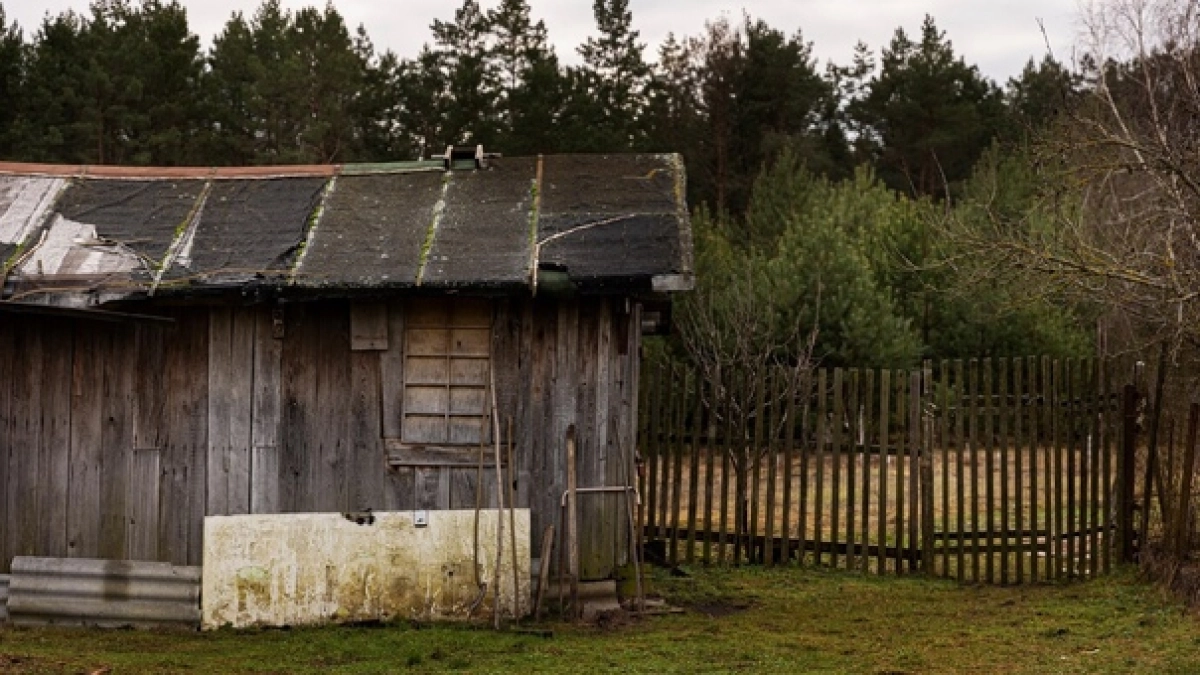 От запаха "старости" не останется и следа: запомните это средство для обработки пола и стен