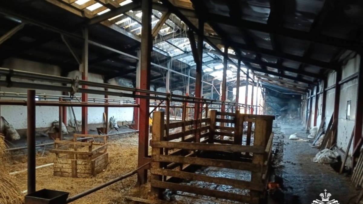 В Коми добровольцы помогли справиться с огнём на ферме