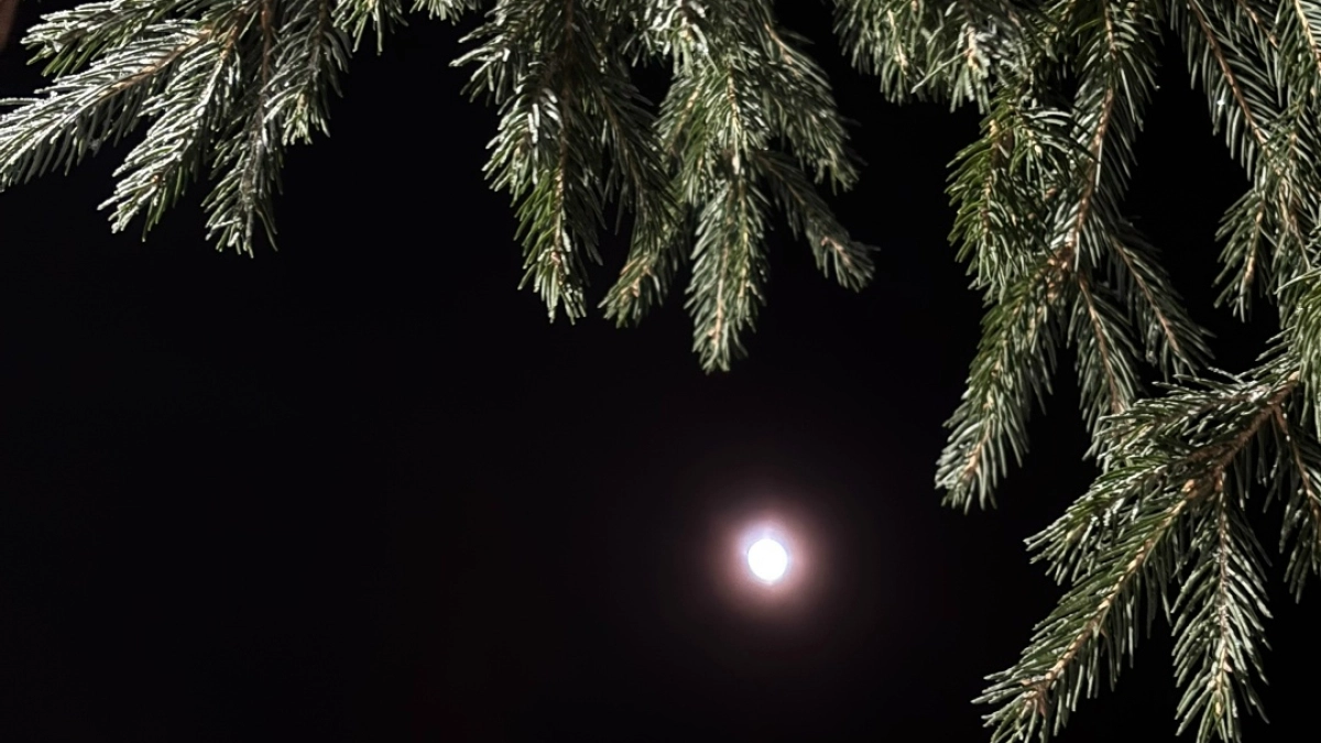 В Республике Коми похолодает до -9 градусов: синоптики рассказали о погоде на 30 марта 