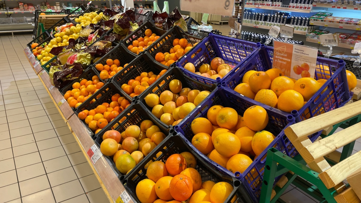 Почему я раньше не догадалась использовать так пластиковые контейнеры? 11 полезных и простых идей — для дома, огорода и сада