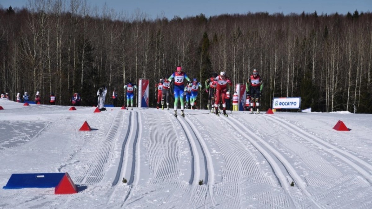Лыжи, плавание и футбол – любимые виды спорта молодежи Коми
