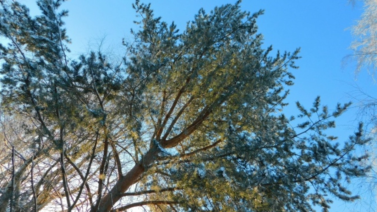 Звёзды советуют быть внимательнее к деталям 31 марта: гороскоп для всех знаков