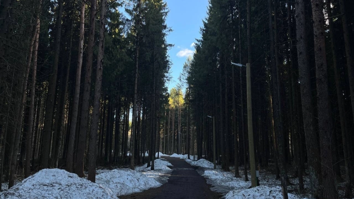  В Коми 1 апреля прогнозируют разброс температур до 20 градусов