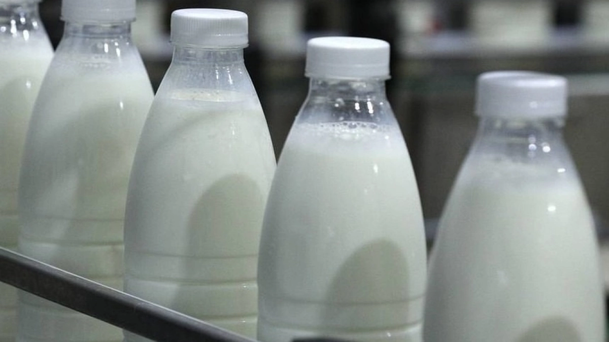 В Коми нарастили выпуск мяса и молока