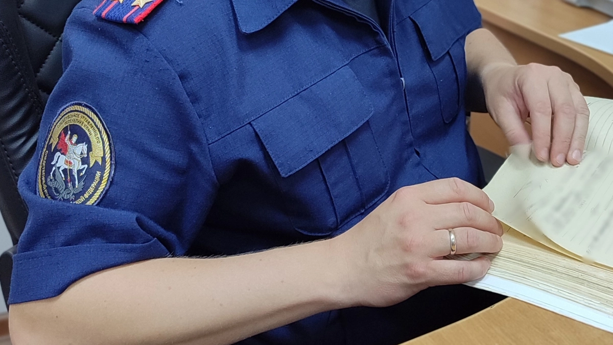 Экс-бухгалтер из Коми перевела себе 4 миллиона рублей лишней зарплаты